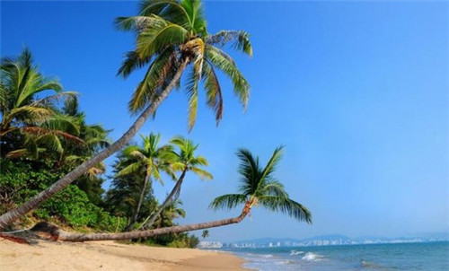 青海餐饮加盟店电话多少