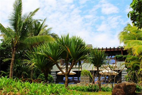 奶茶店的总结是什么，奶茶店的总结报告范文