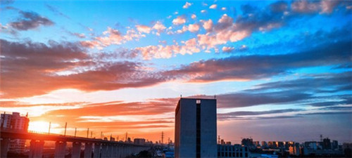 富裕县还能加盟芒甜饮品吗