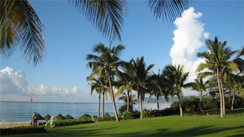 引流平台招商加盟费多少