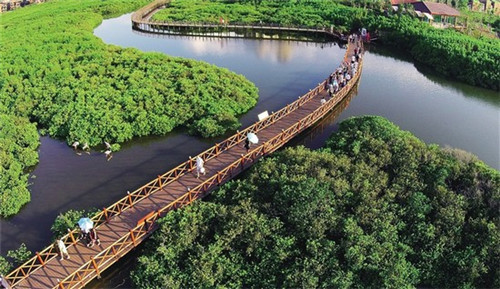 适合集安市开的音乐盒加盟店（音乐盒批发市场）