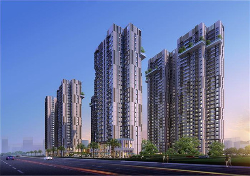 枫女装品牌（枫叶女装）