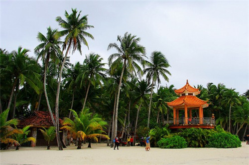 装修所有瓷砖需要泡水吗（装修瓷砖需要用好的吗）