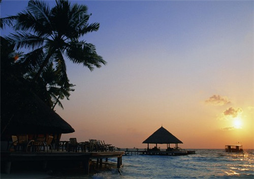 新文科类创业项目有哪些（文科创业学什么专业好）