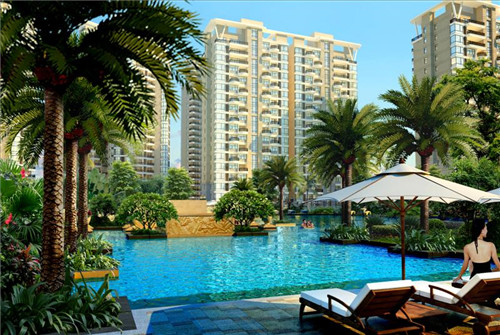 正宗红肉血桃（血桃肉是红色还是白色）